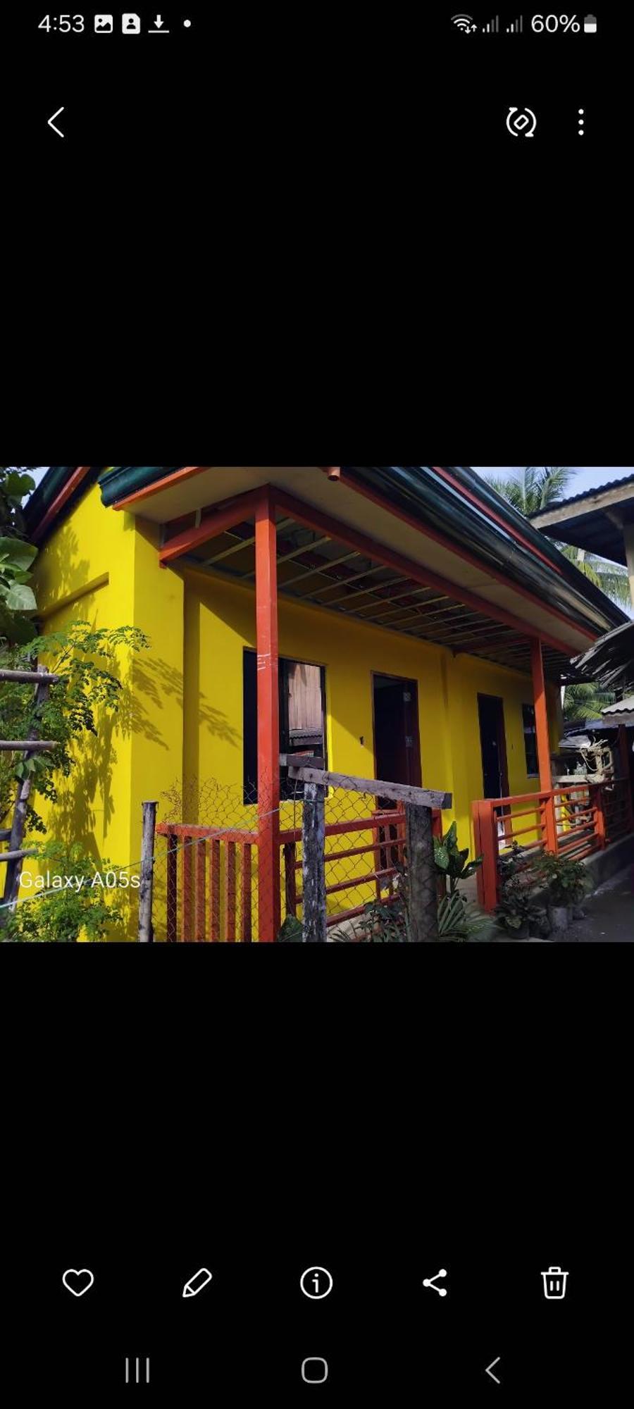 Francis Home Stay Port Barton Bonifacio Street 圣维森特 外观 照片
