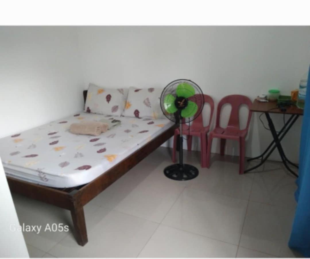 Francis Home Stay Port Barton Bonifacio Street 圣维森特 外观 照片